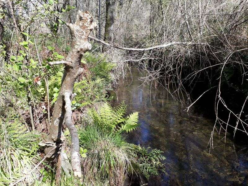 Terreno / Quinta , Penafiel, perto do Porto, 8000 m2, 20 000€ - Grande imagem: 4/12