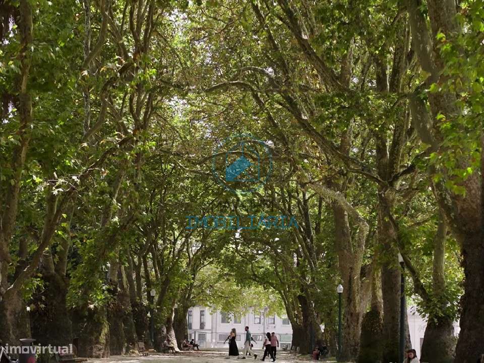 T2+1 c/32m2 terraço + varanda, estacion.duplo + arrumo-15