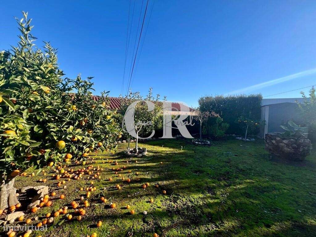 Excelente moradia térrea e independente com jardim em Arega - Figueiró-6