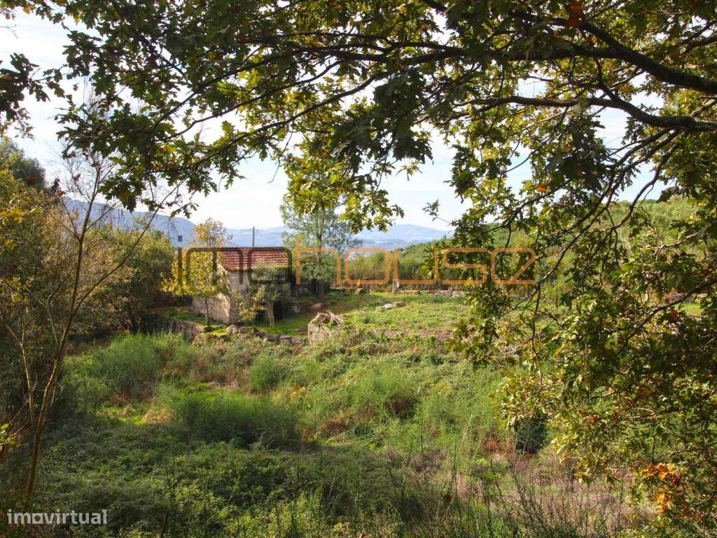 Quinta isolada - Amarante-27