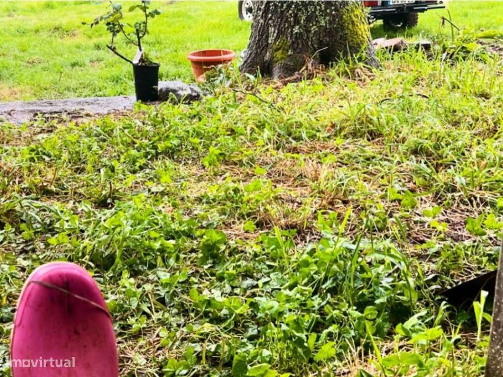 Moradia com terreno de 1.2 ha - Santo da Serra-10