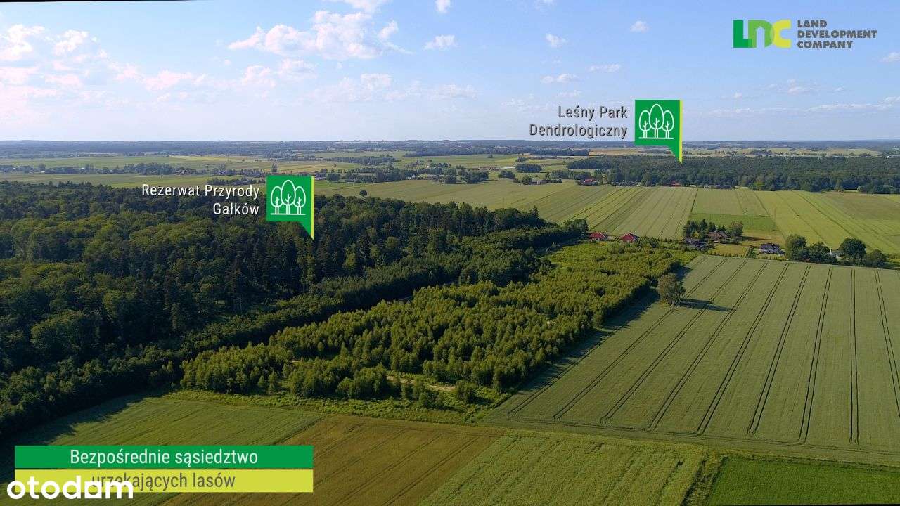 Działki budowlane z mediami! Las, 20min. od Łodzi-8