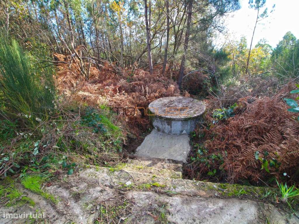 Moradia pronta habitar na Montanha - 1ha de Terreno-51