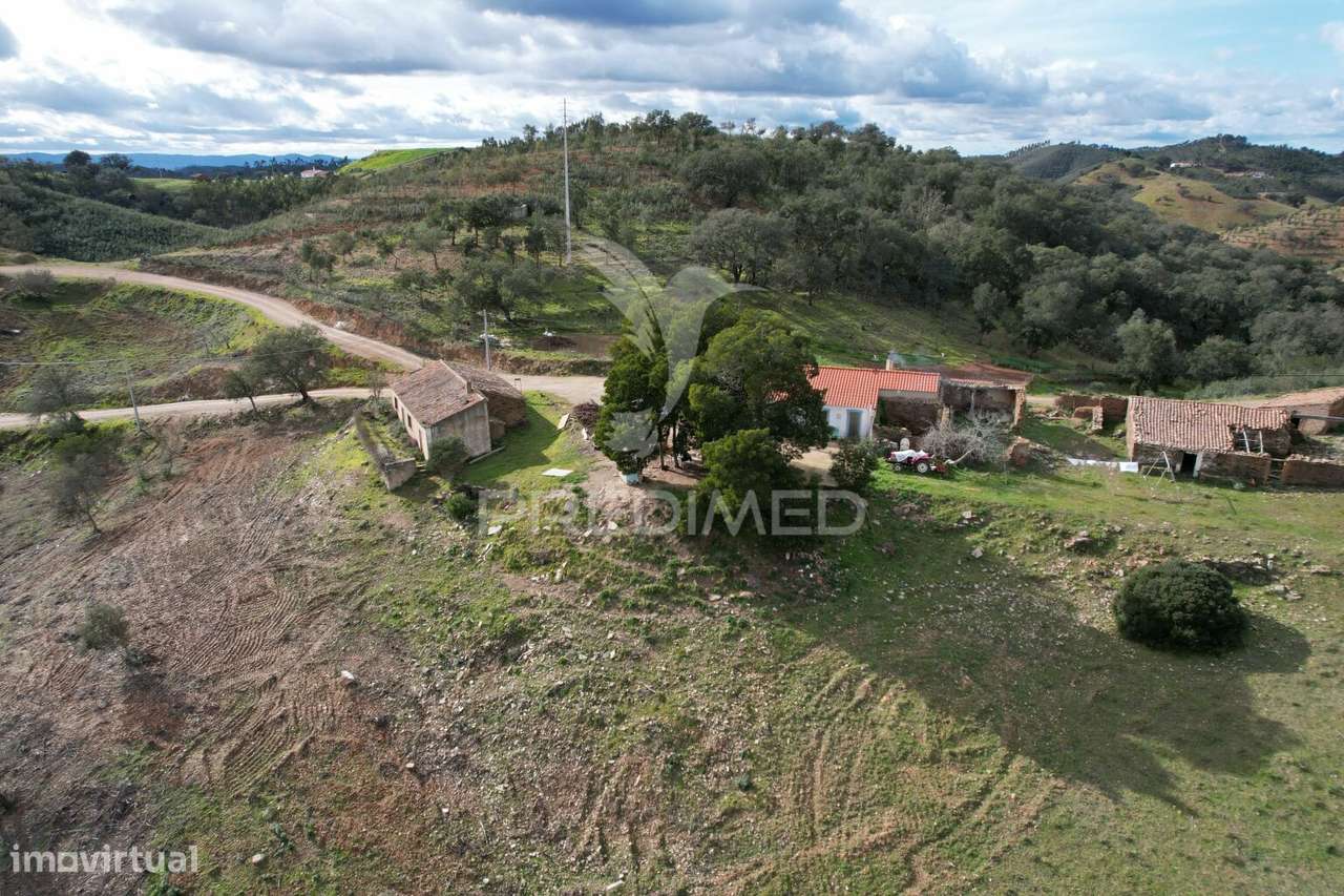 CASA DE CAMPO - MONTE DA BOGA - SANTANA DA SERRA - Grande imagem: 4/10