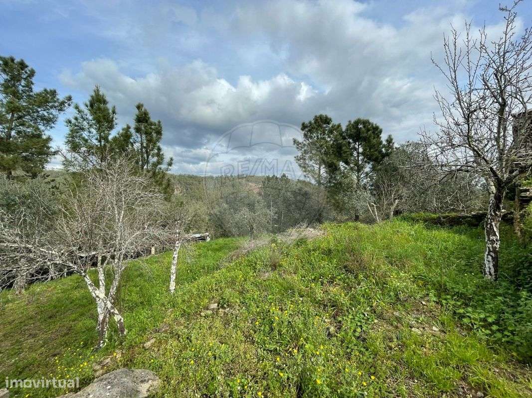 Terreno  para venda - Grande imagem: 4/11