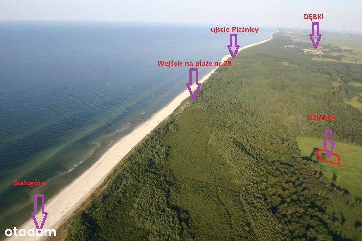 Działka nad morzem 300 m od plaży między Białogór