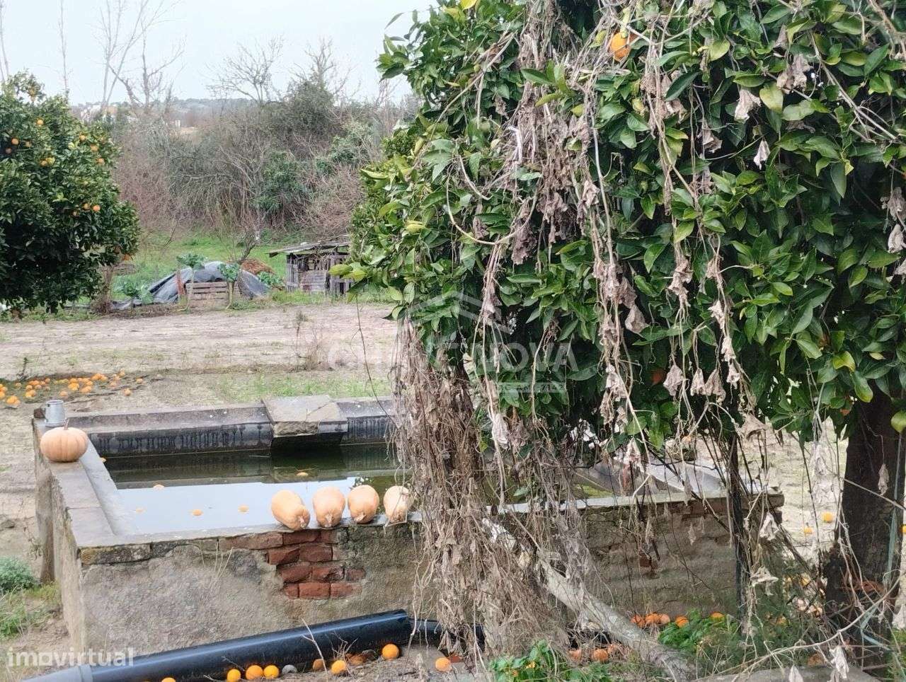 Uma verdadeira oportunidade, uma casa com 1,5 hectares de terreno.-10