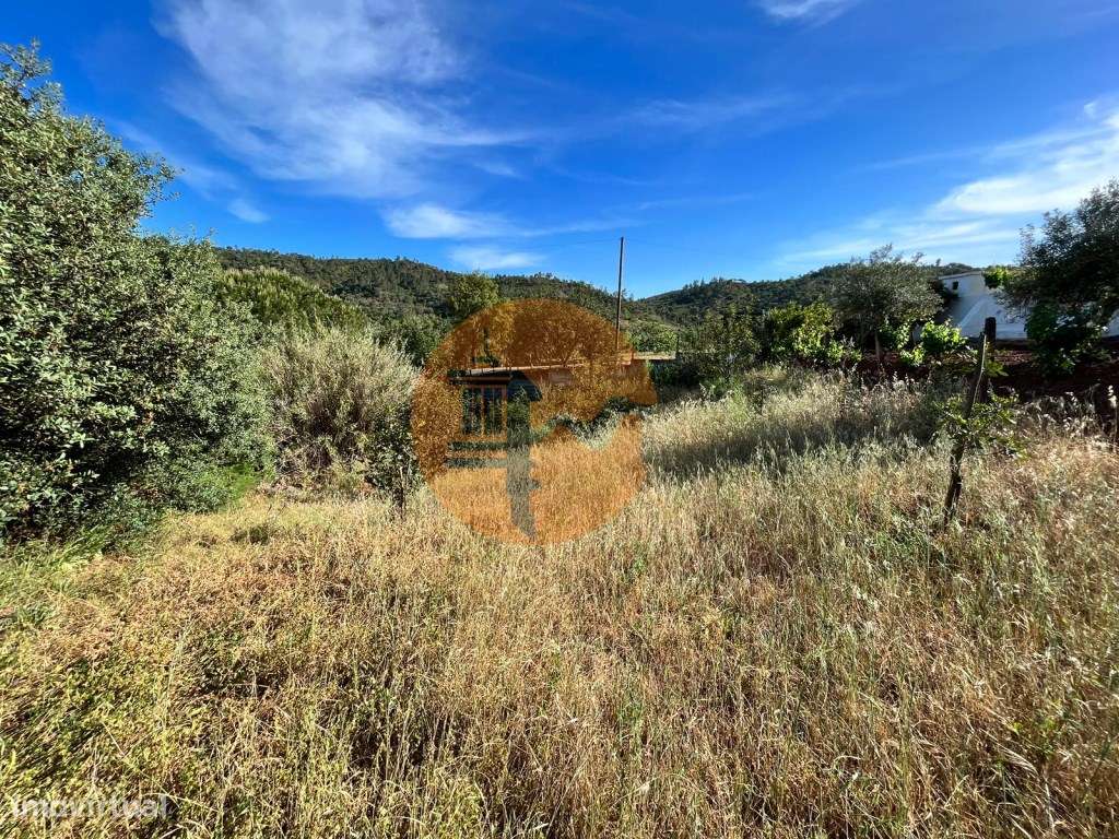 Terreno Rústico - Grande imagem: 4/11