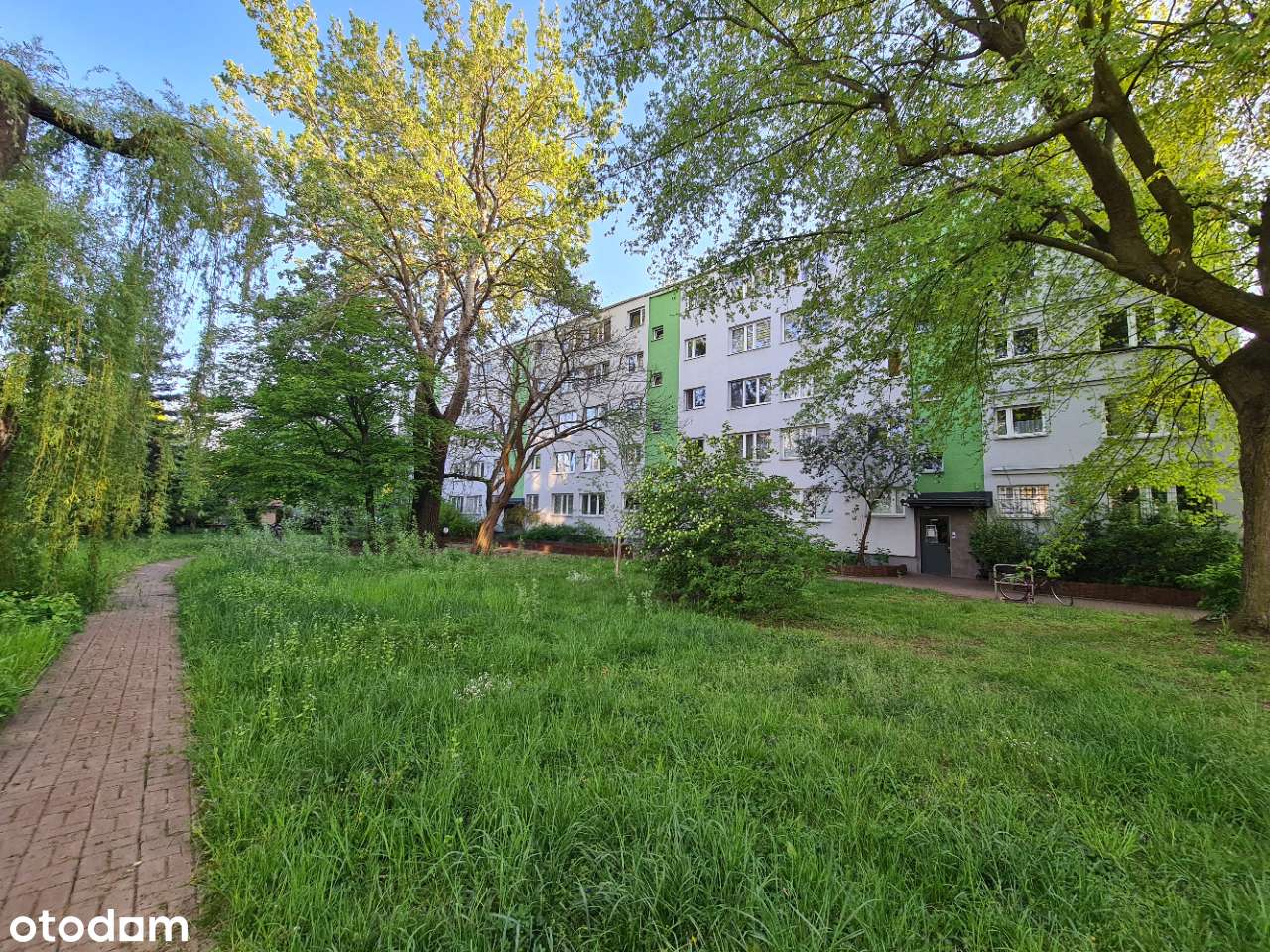 Okazja, ciche, po generalnym remoncie, gotowe do zamieszkania!-17