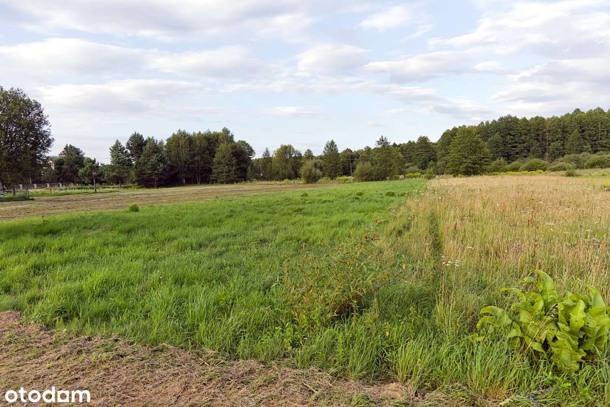 Działka, 1 054 m², Olchówka-4