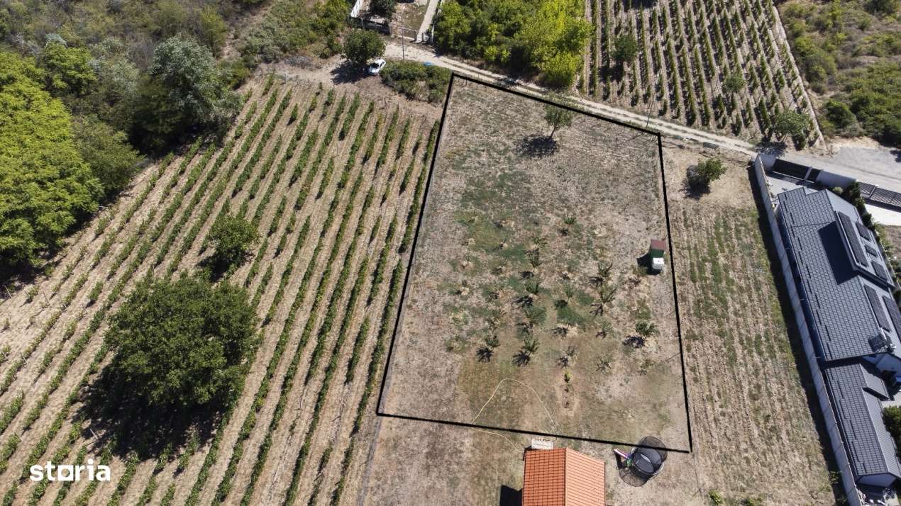 Oportunitate dezvoltare rezidentiala – teren 2000 mp intravilan-0