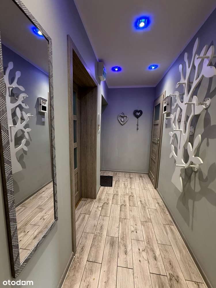 Nowa oferta / 3 pokoje / osobna kuchnia / 0 %prowizji-1