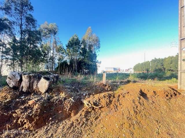 Terreno com 606m2, localizado próximo do Centro de Canelas!-11