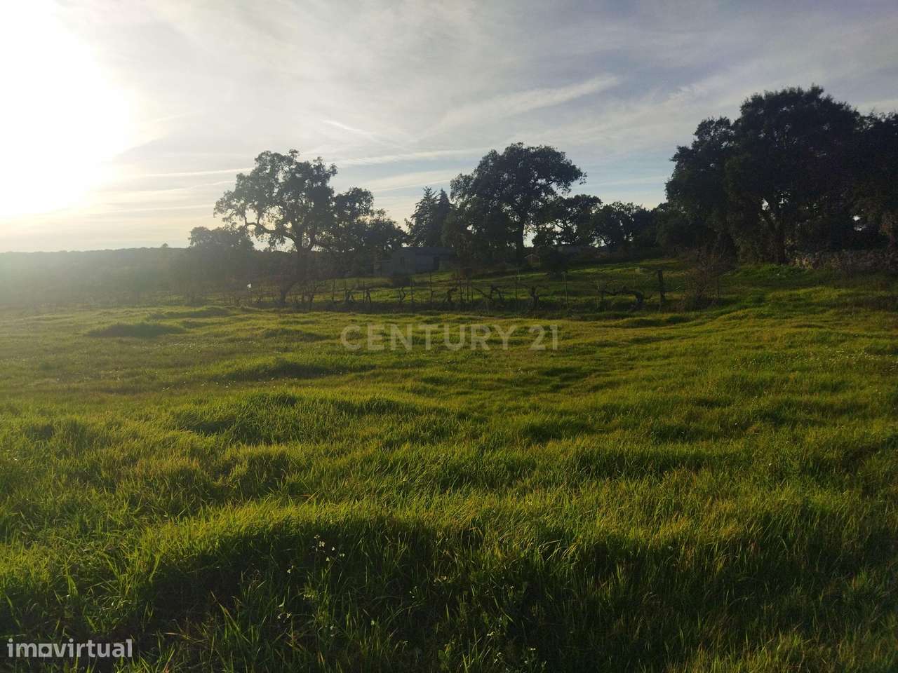 Terreno Rustico, Lousa, Castelo Branco - Grande imagem: 5/10