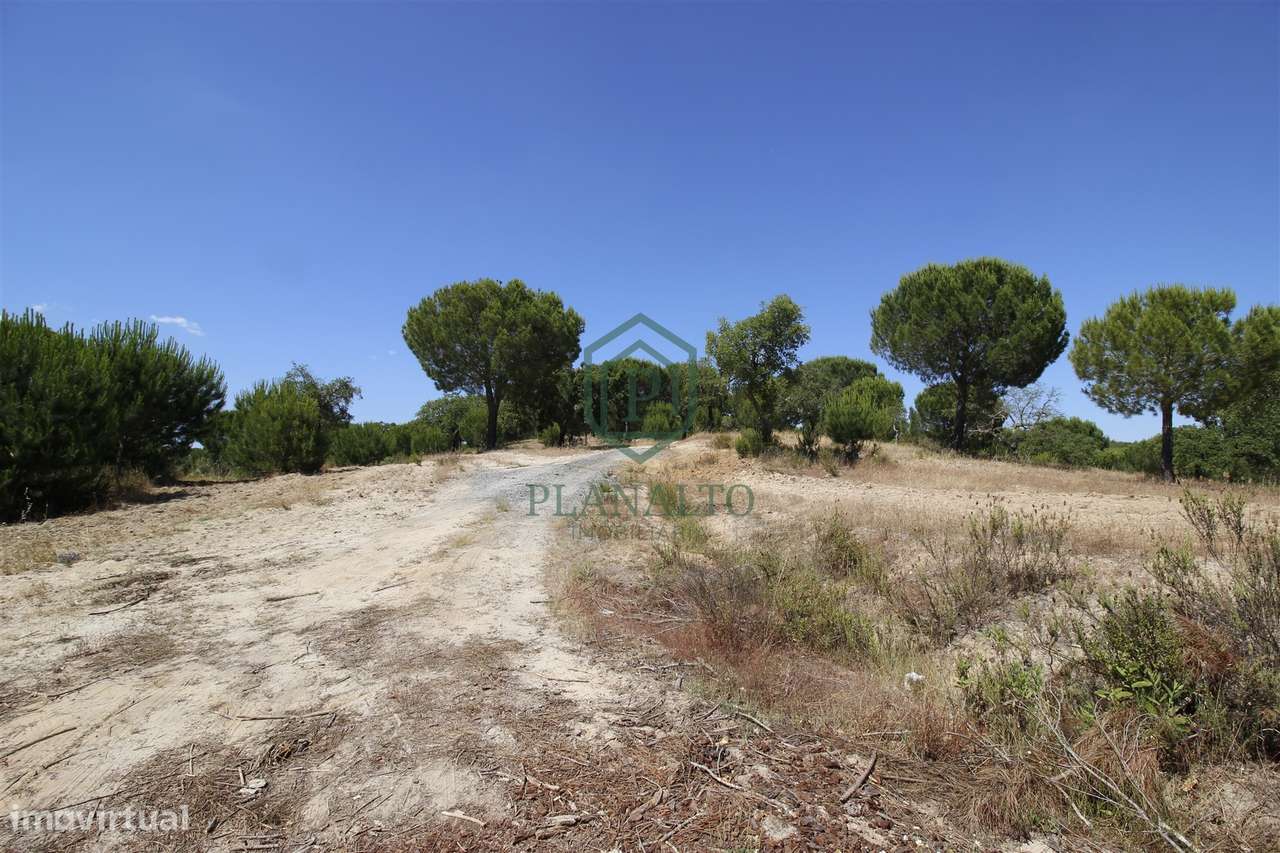 Terreno Rústico  Venda em Mora,Mora - Grande imagem: 4/24