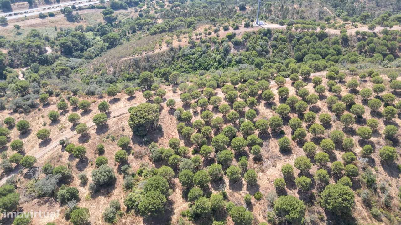 Herdade 4.0 ha, Álcacer do Sal, Alcacer do Sal-39