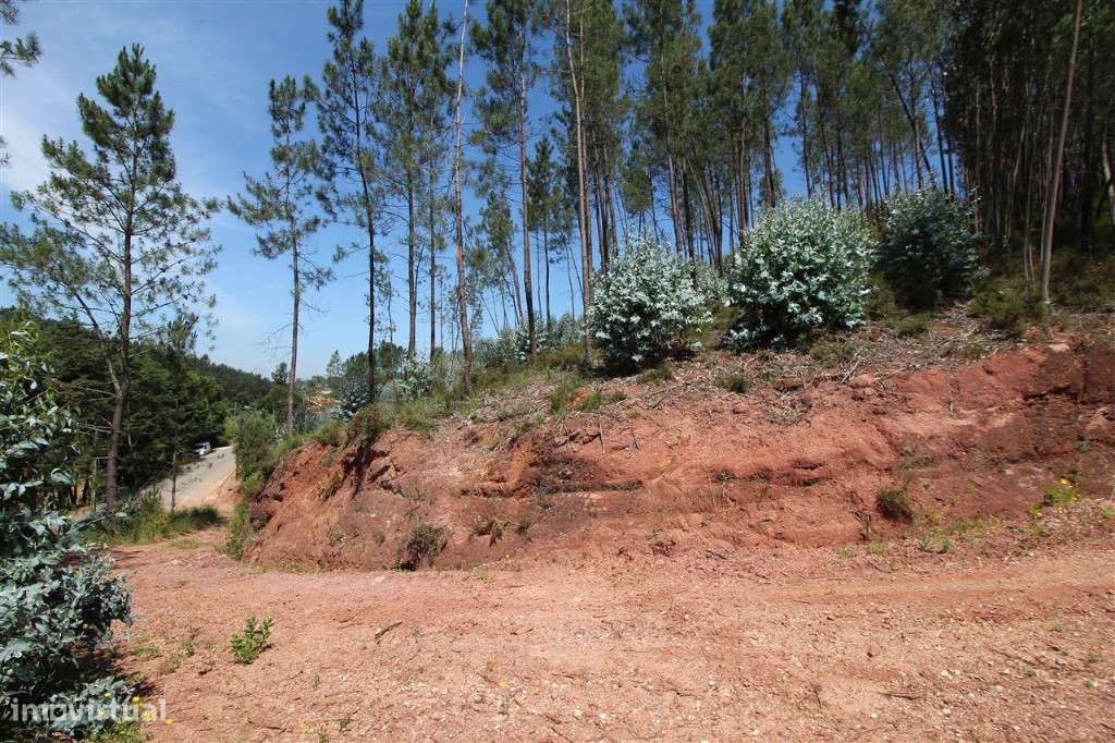 Terreno Construção Pingo Doce Eiras - Grande imagem: 5/11