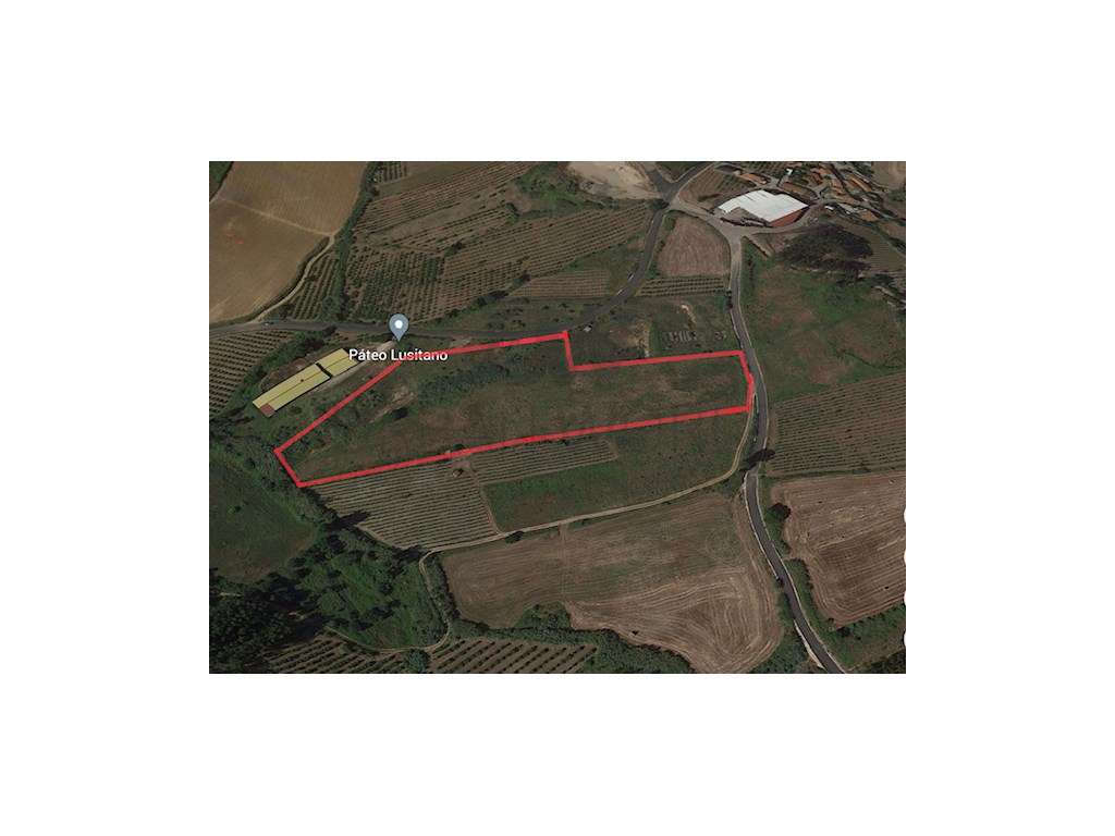 Terreno Industrial C/ PIP , Torres Vedras, 23.000 m² - Grande imagem: 4/8