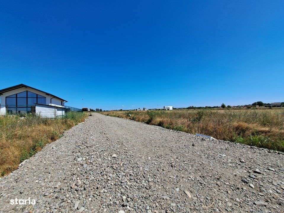 DIMIENI - ILFOV / STR. STRAJA / TEREN 1000 mp / 2000 mp-10