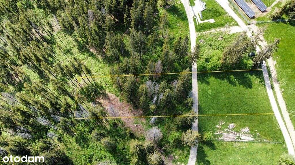 Działka rolna na Gubałówce - Zakopane - Pełny obrazek: 3/4