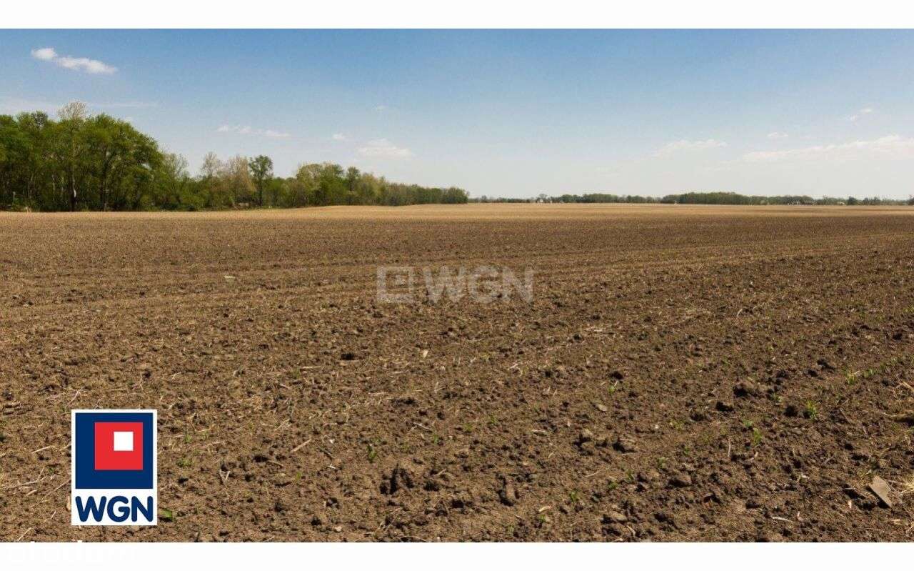 Działka, 23 635 m², Lisowice-Kolonia-0