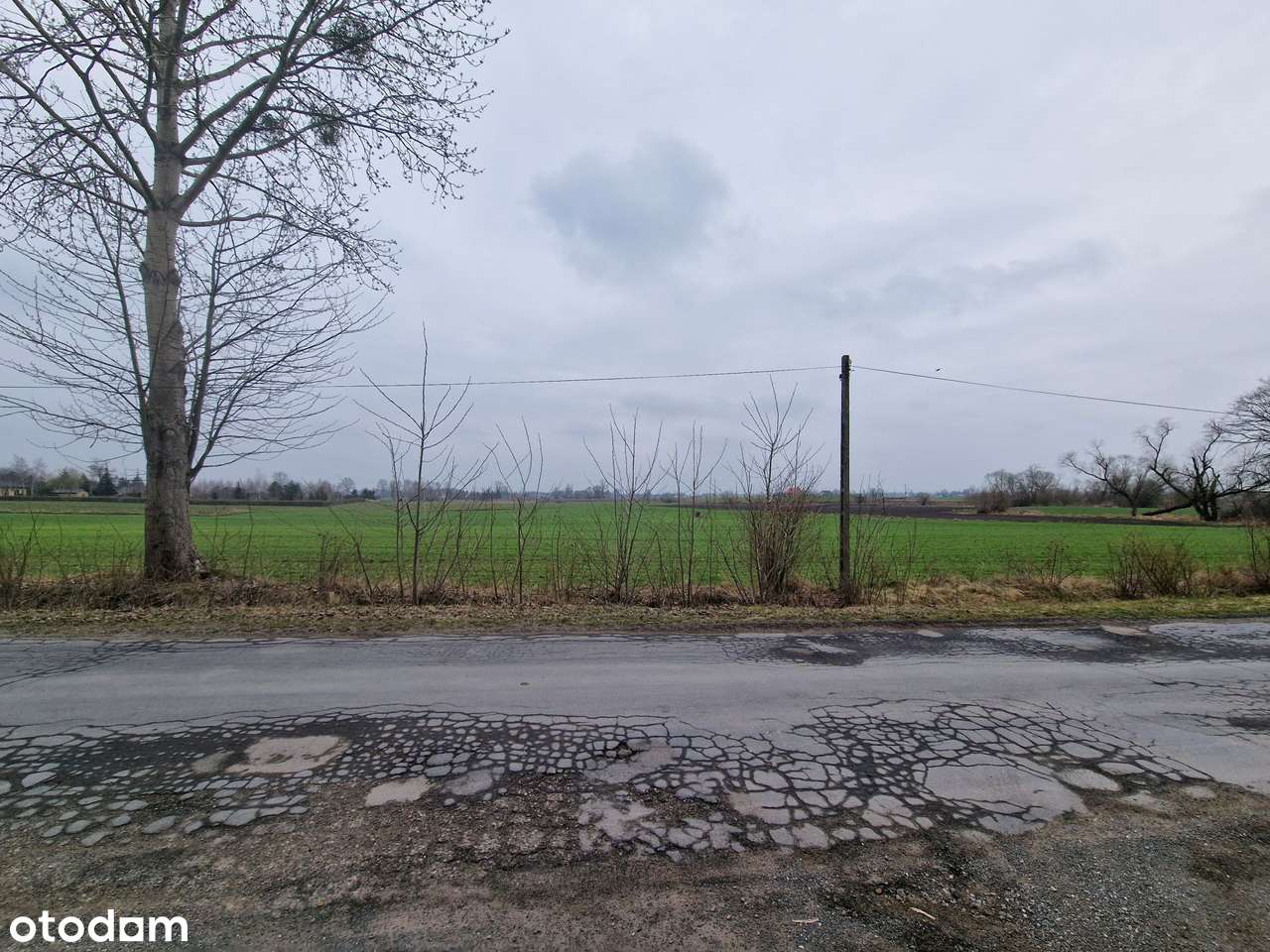 Syndyk sprzeda udziały w nieruchomościach w Skrzypkowie - Pełny obrazek: 5/5