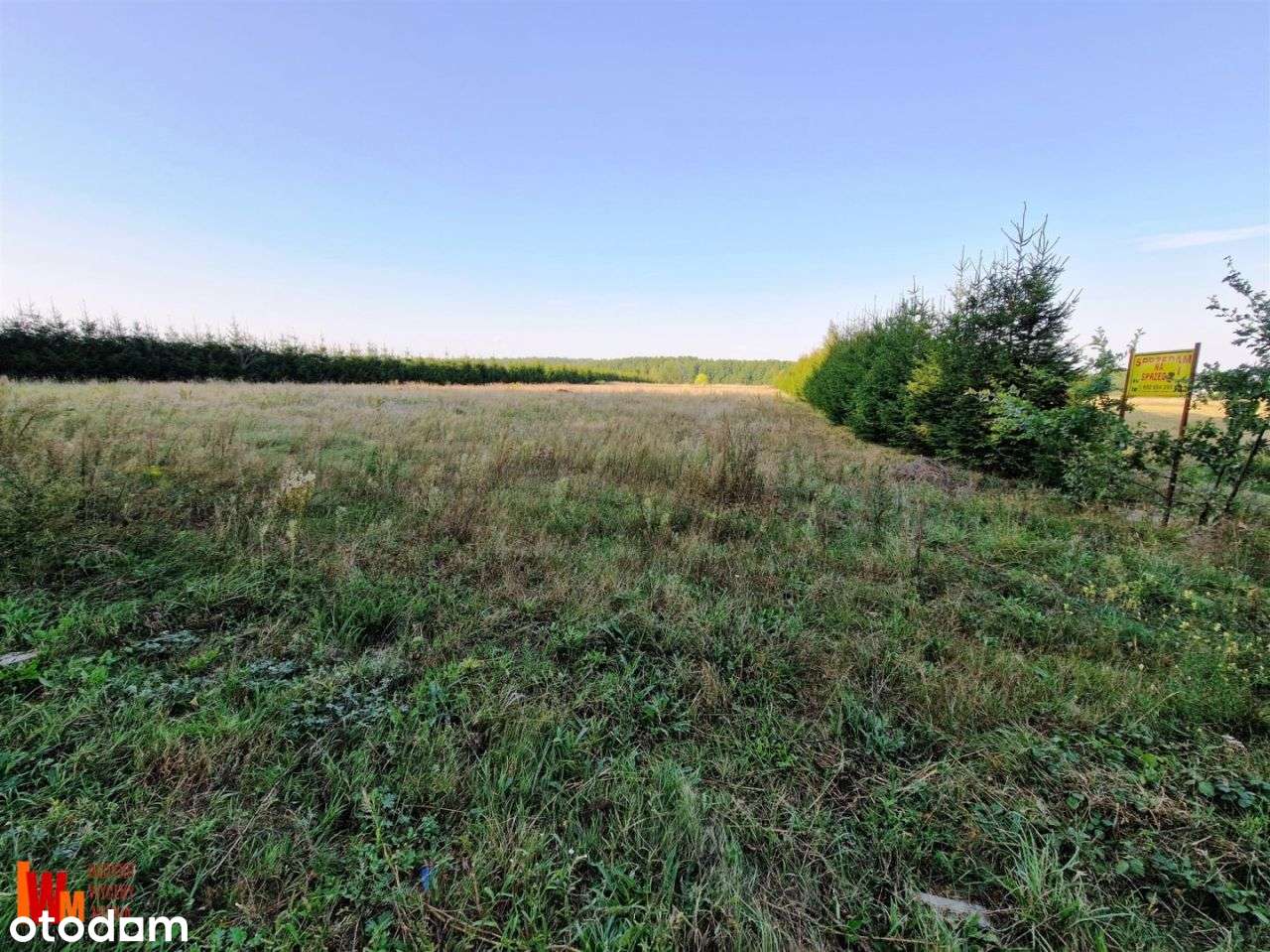 Działka obok lasu, blisko miasta Ełk-5