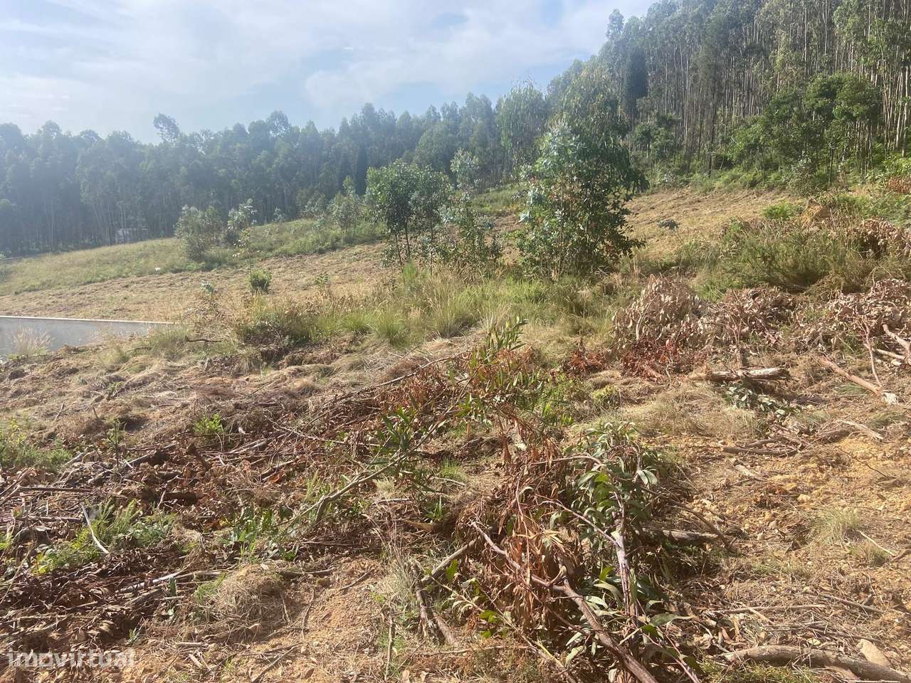 Lote de Terreno  Venda em Moita,Anadia-16