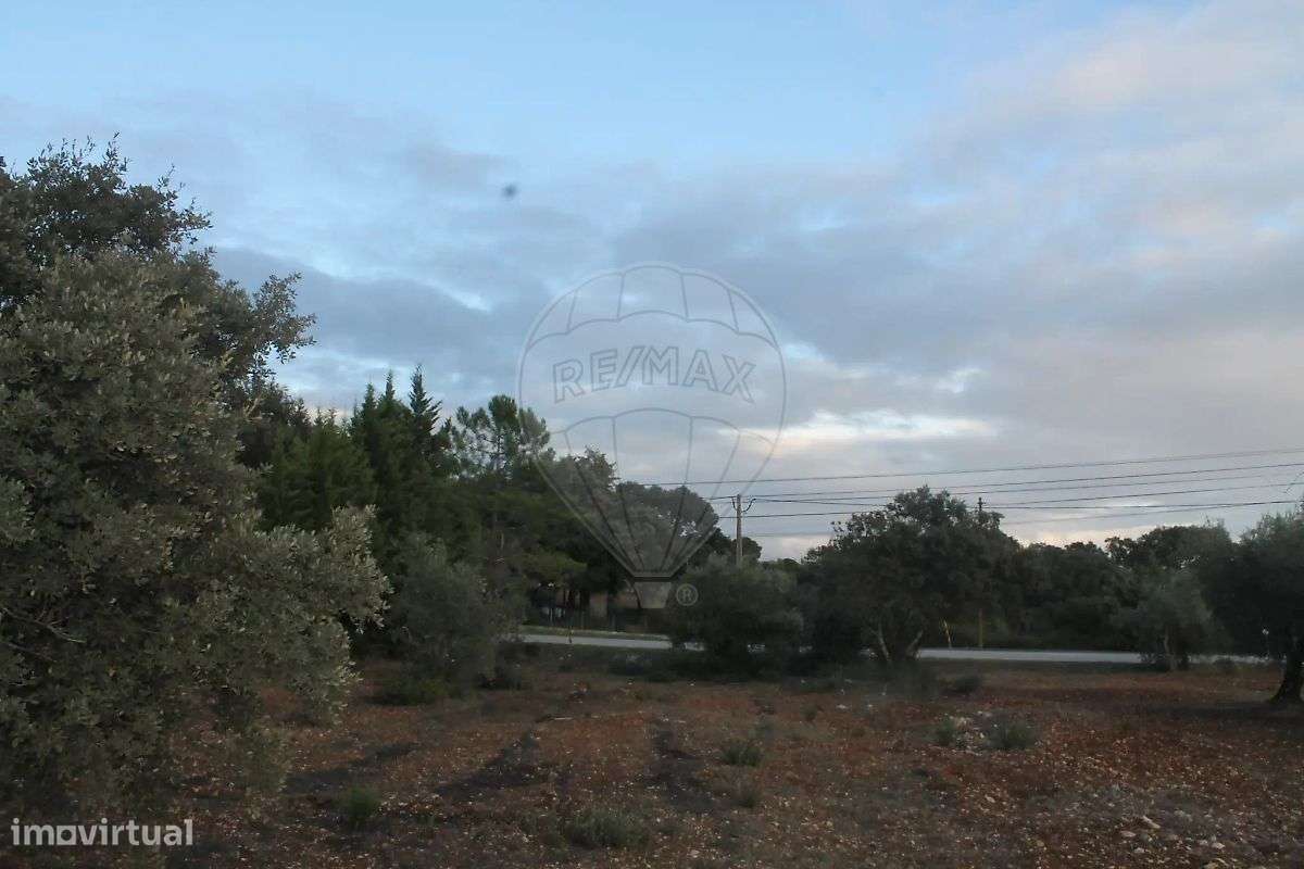 Terreno  para venda - Grande imagem: 5/15