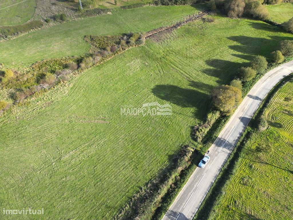 Terreno Agrícola 2hectares Bragança - Grande imagem: 5/5