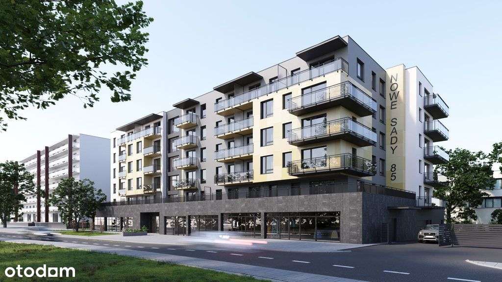 Łódź ul. Nowe Sady Lokal 354m2, medycyna, żłobek - Pełny obrazek: 5/11