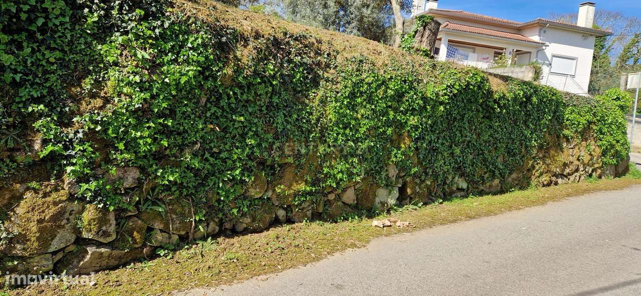 Terreno para moradia em Sarzedelo, Viseu - Grande imagem: 2/6