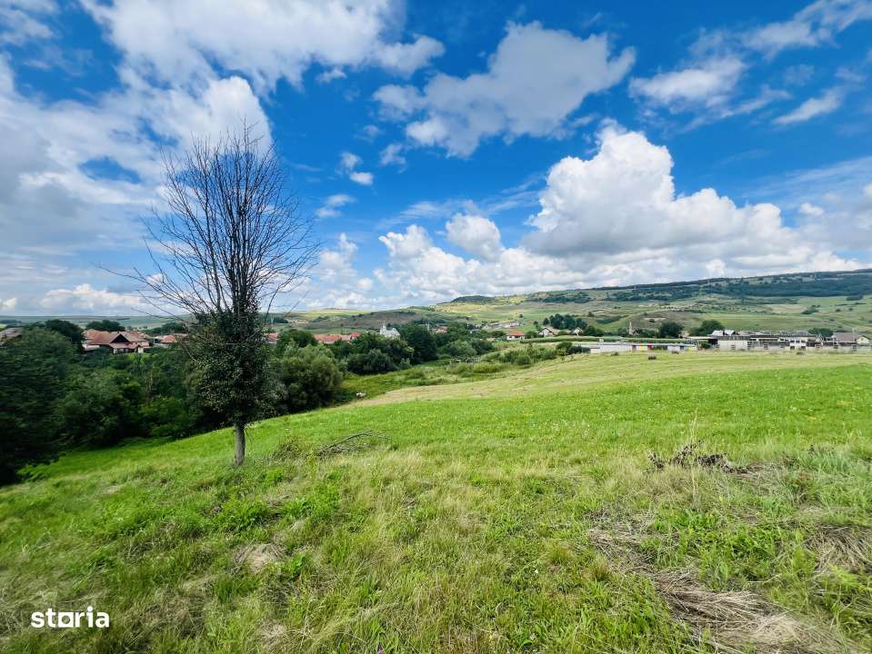 Investitie Teren intravilan 3000 mp intabulat in Corusu - Imagine principală: 3/5