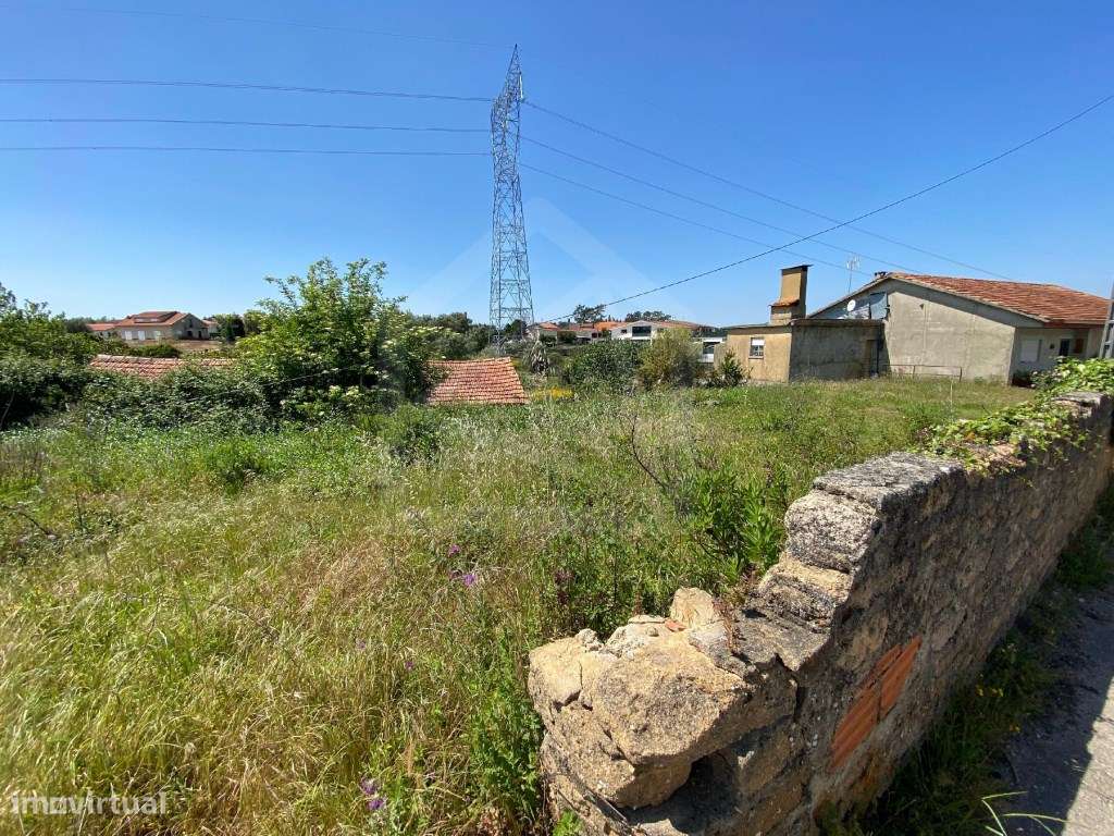 Terreno Rústico em Anadia - Grande imagem: 4/9