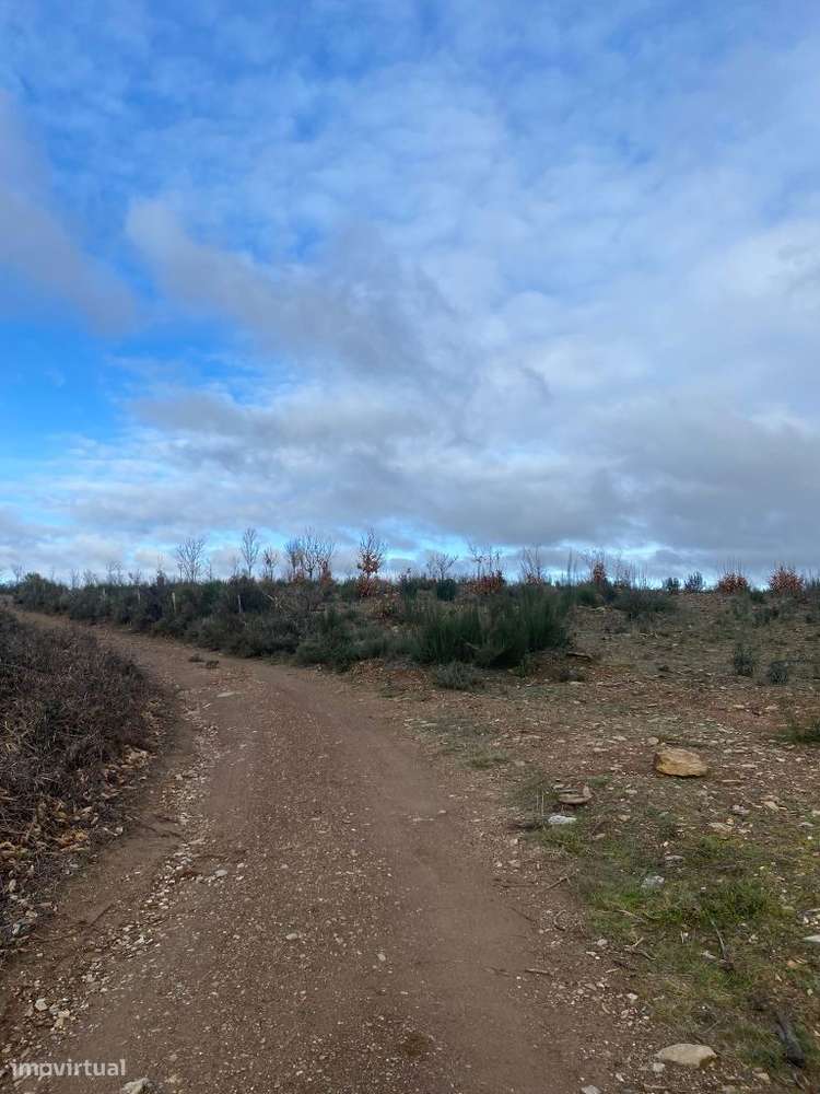 Terreno para venda - Bragança - Grande imagem: 5/9