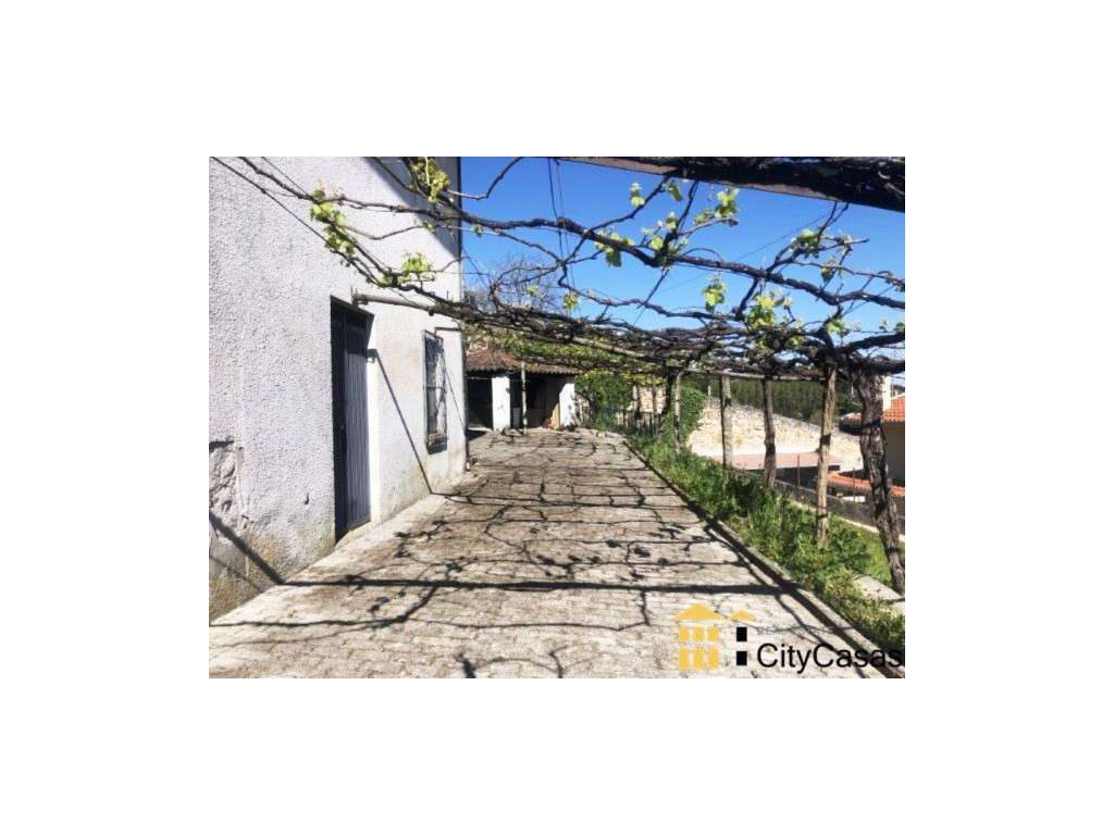 Quinta de 3060 m2 com Moradia T5 | Roriz, Santo Tirso - Grande imagem: 4/29