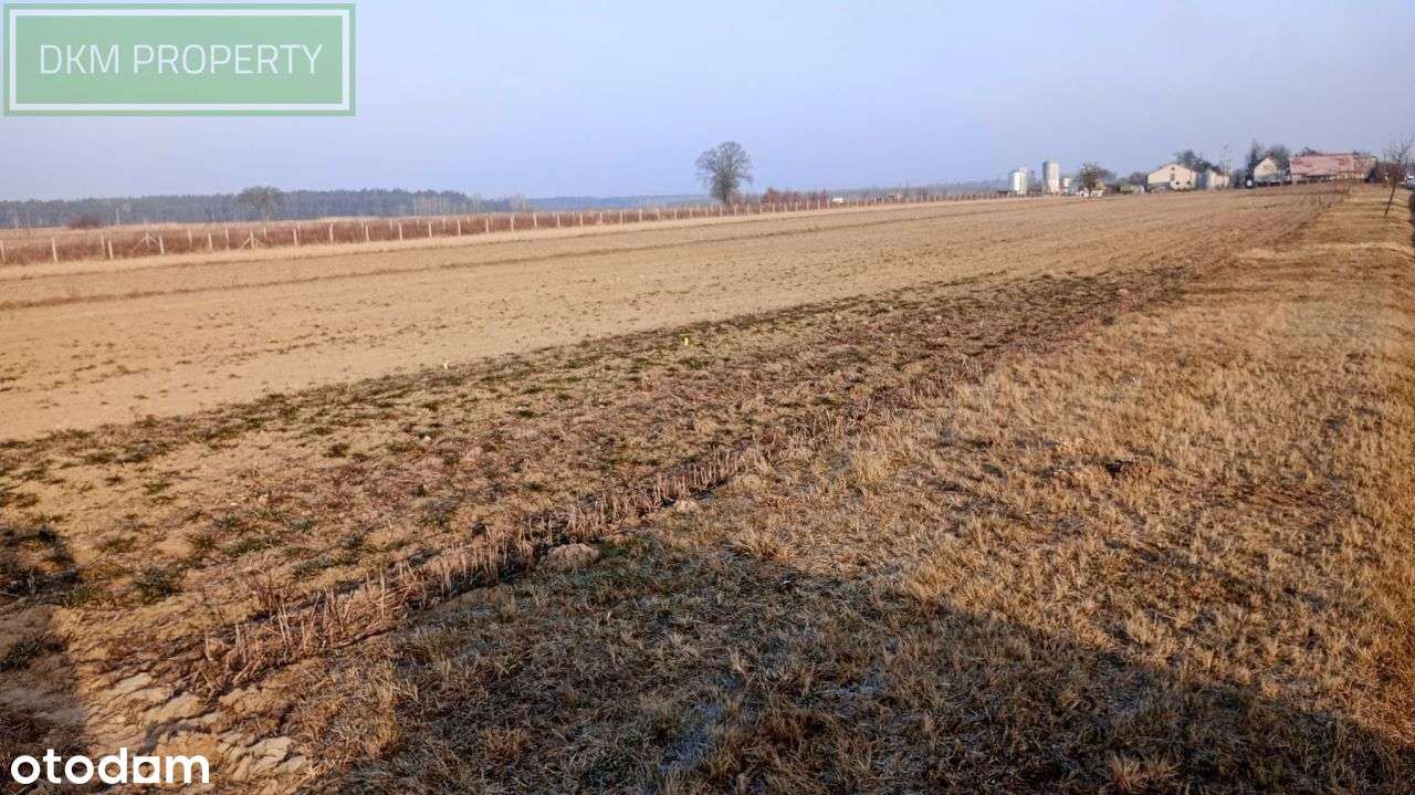 Sprzedam nieruchomość gruntowa (inwestycyjna) - Pełny obrazek: 5/13