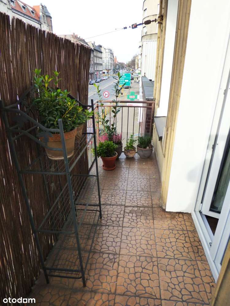 Sprzedam 130m mieszkanie po remoncie w centrum Zabrza, 1 piętro,balkon-11