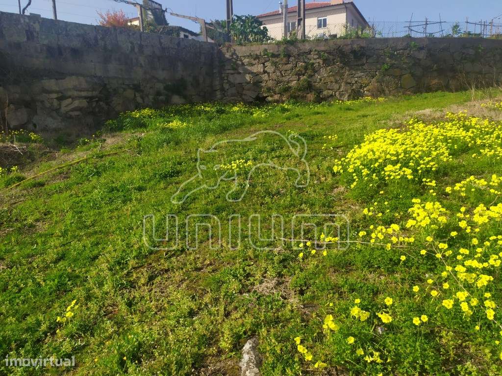 Terreno Cardielos - Grande imagem: 3/6