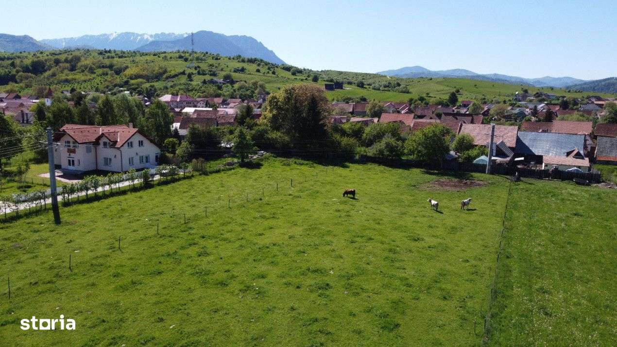 Teren plat P +4 Bran, panoramic munti, DN73, toate utilitatile-7