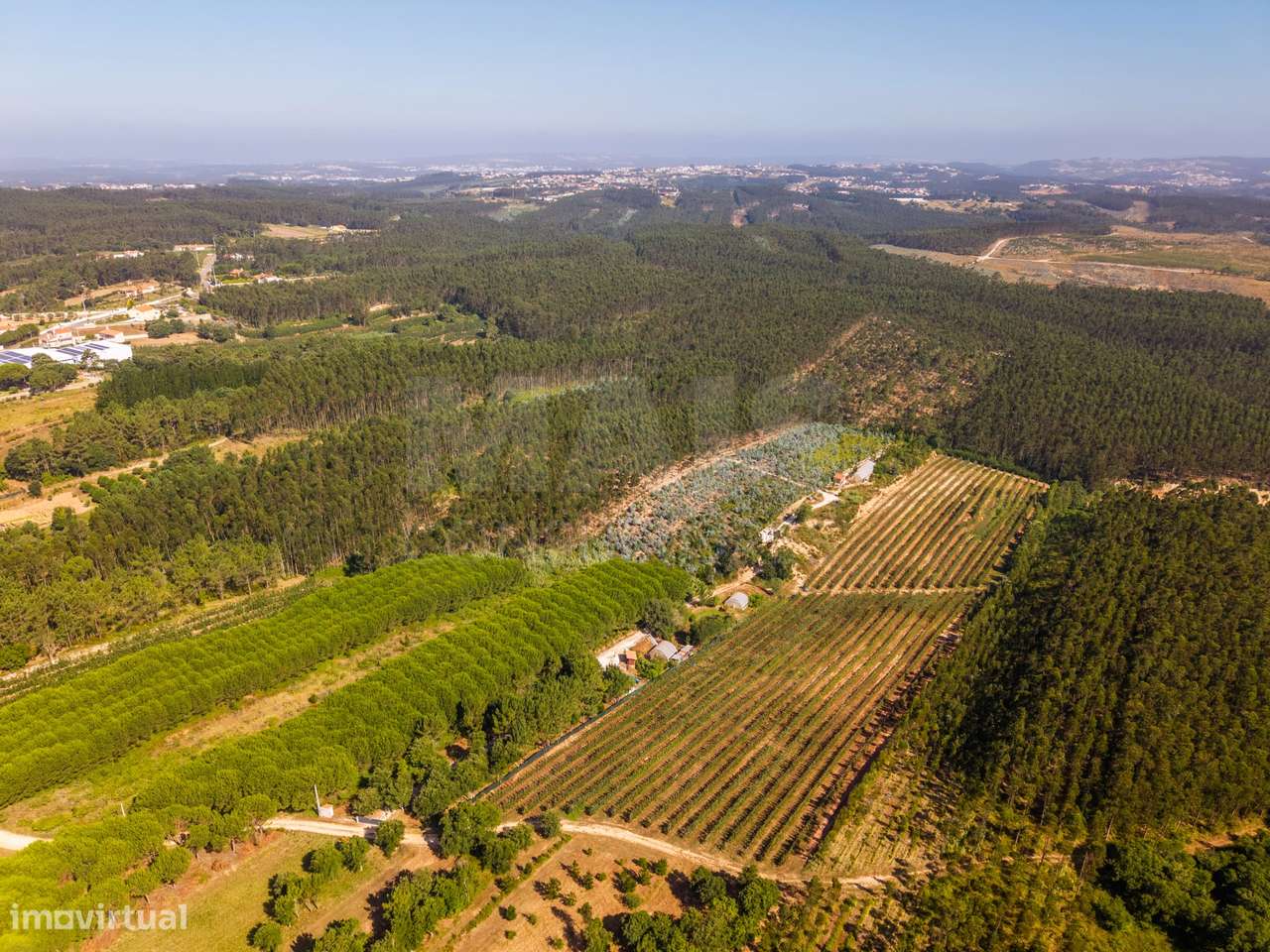 Terreno Agrícola na Fanadia | 16.100 m² de Potencial e Infraestrutu...-38