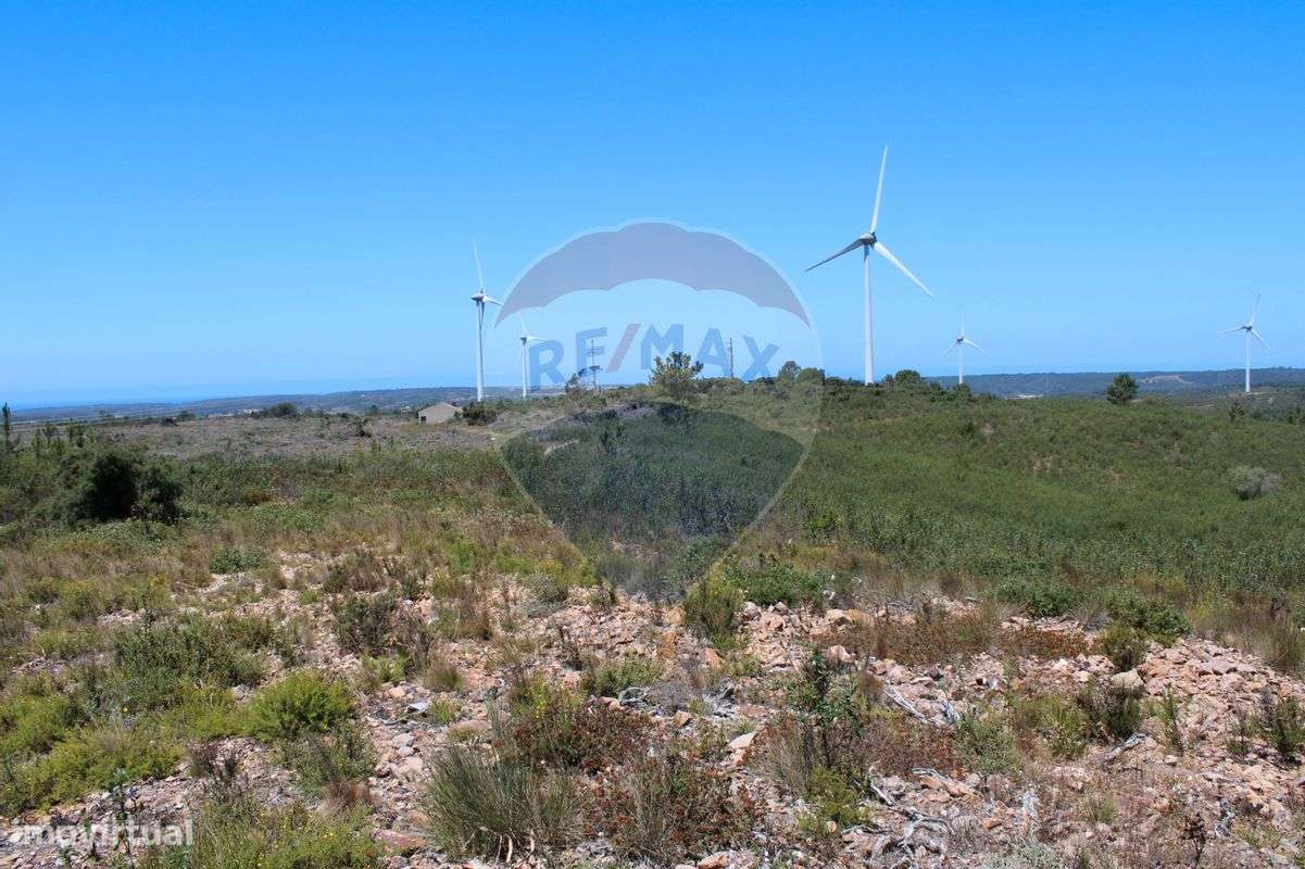 Quinta T5 para venda-5