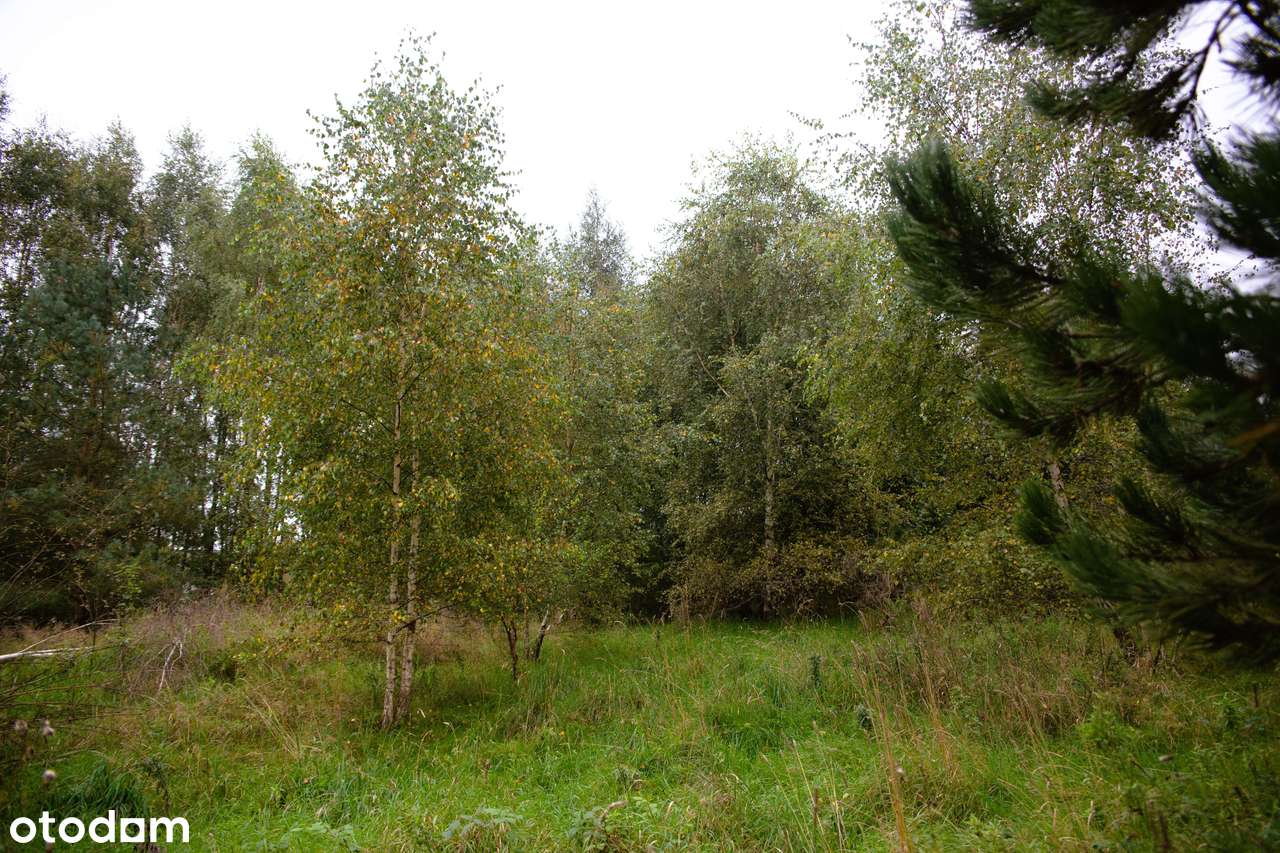 Atrakcyjna działka budowlana – Kielno, gmina Szemud - Pełny obrazek: 4/9