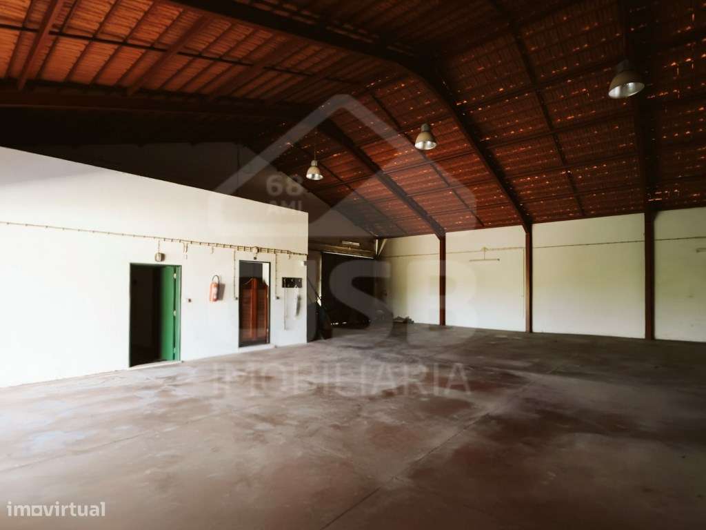 Quinta T5 na Branca-30