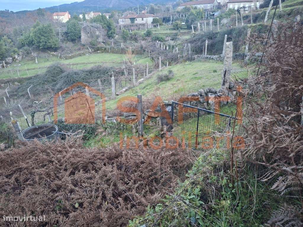 Casa de Campo para Remodelar, em Pedra - Grande imagem: 4/4