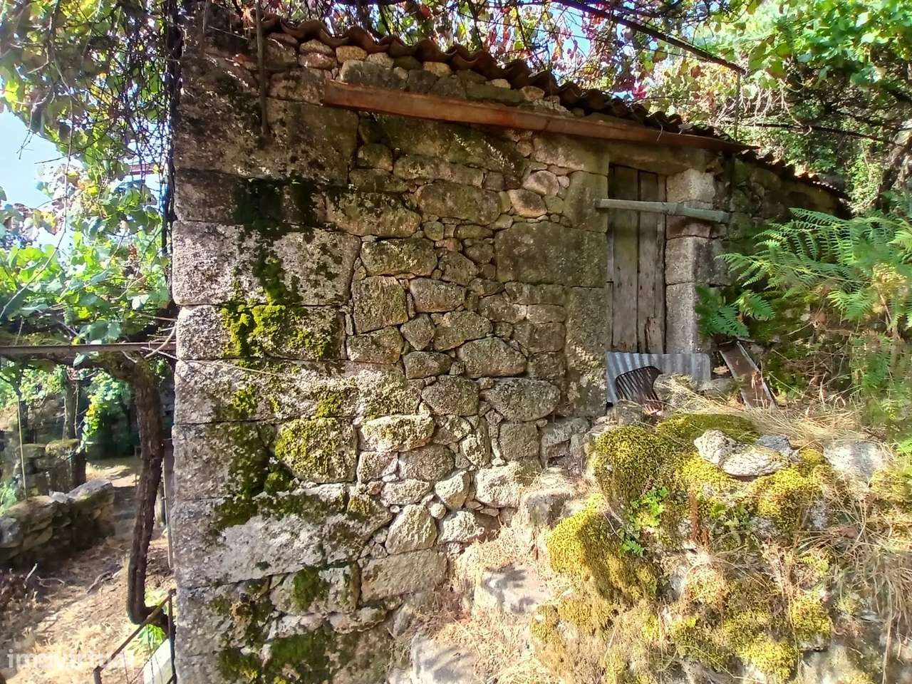 Terreno rústico com casa em pedra para recuperar – Soajo, Arcos de Val-9