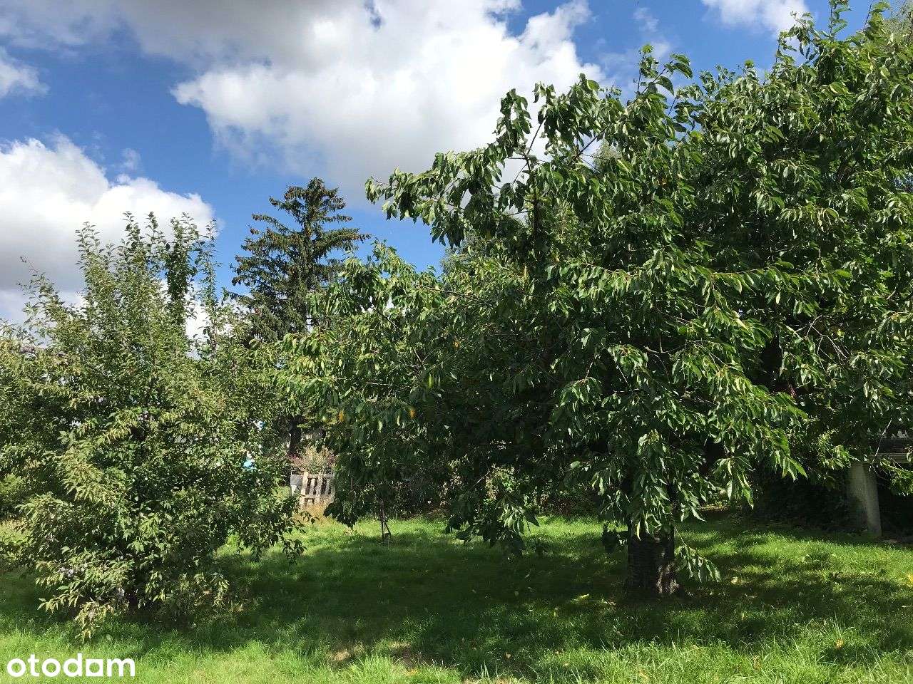 ROKIETNICA | dom do remontu/rozbudowy/rozbiórki-11