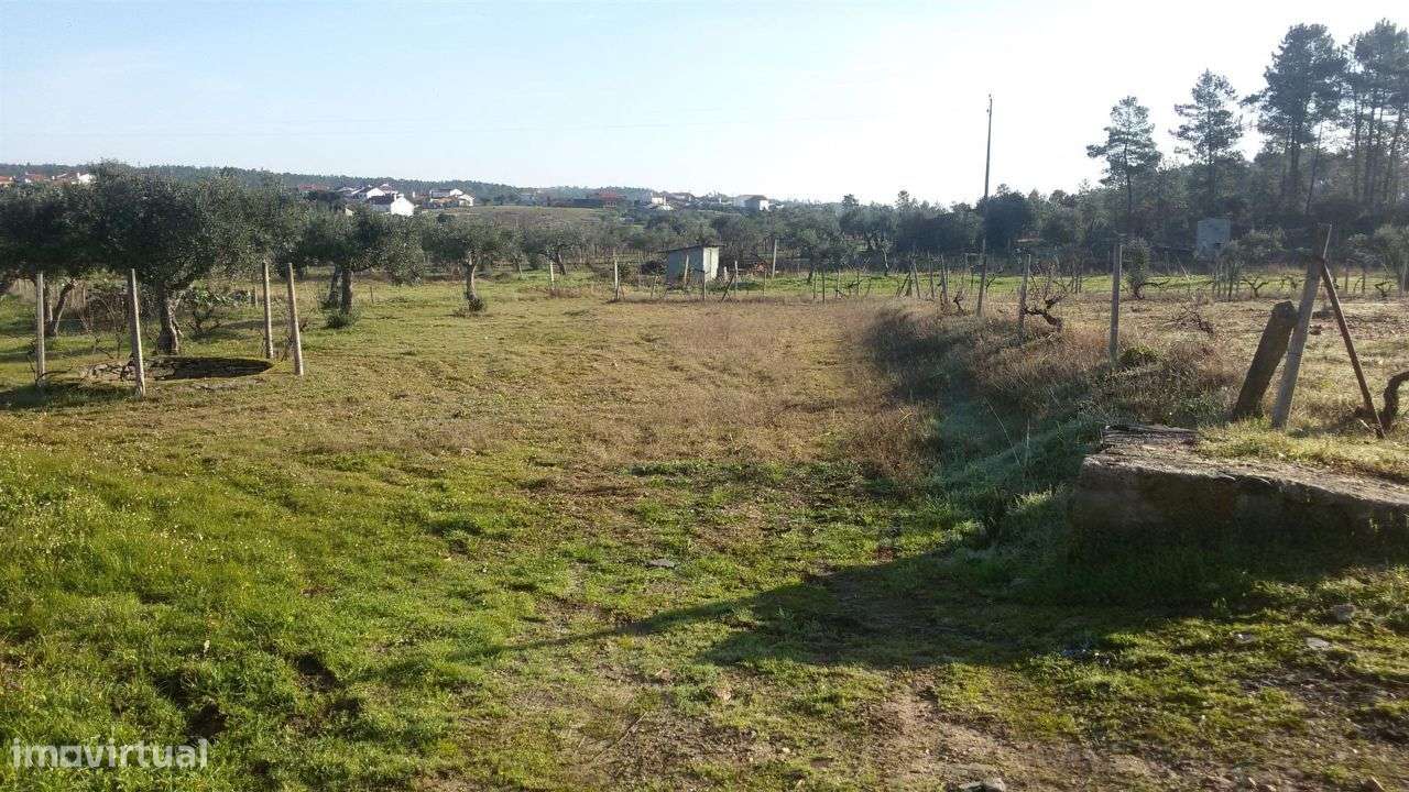 Terreno - Grande imagem: 4/5