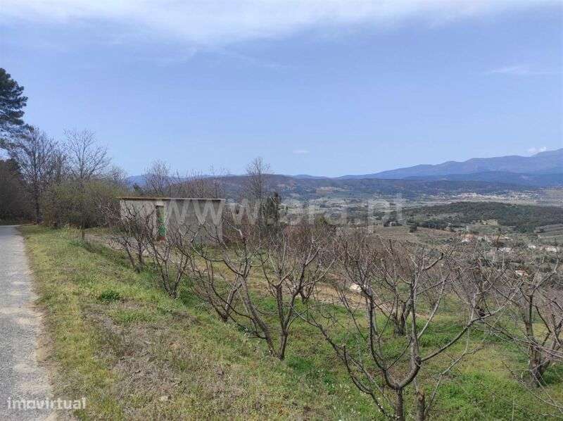 Quinta / Fundão, Aldeia Nova - Grande imagem: 4/4