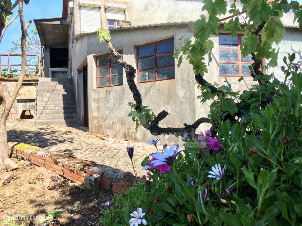 Casa de Campo T3 em Arega, Figueiró dos Vinhos-12